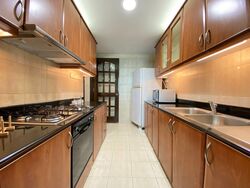 The Bencoolen (D7), Apartment #386461091